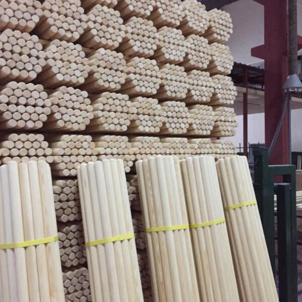 COADĂ MATURĂ DIN PIN, 150 CM, CALITATE C – FILET ITALIAN